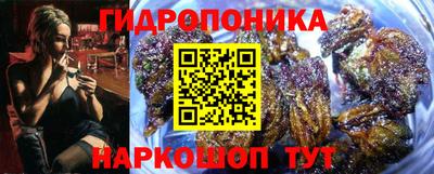 СК Краснодар
