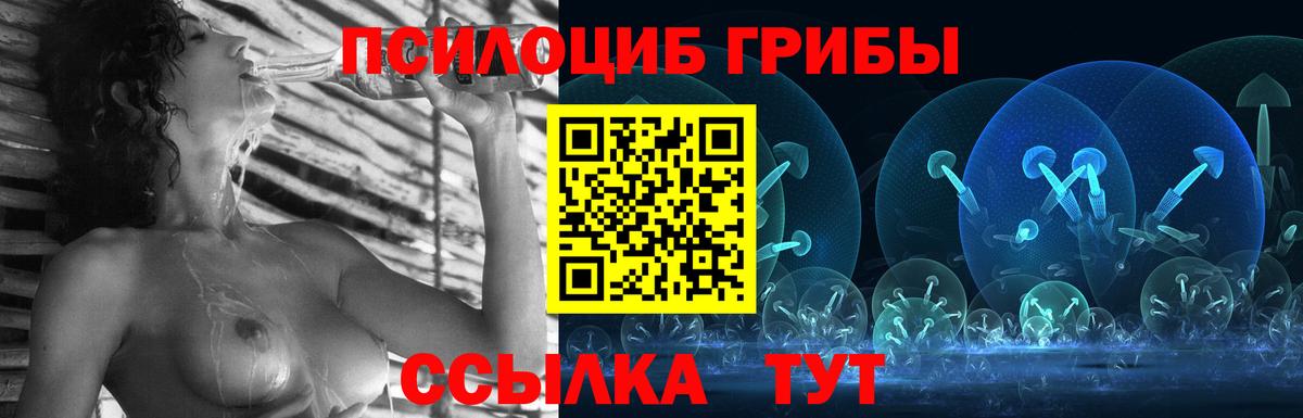 Галлюциногенные грибы Psilocybe  Вход с VPN  Ипатово 