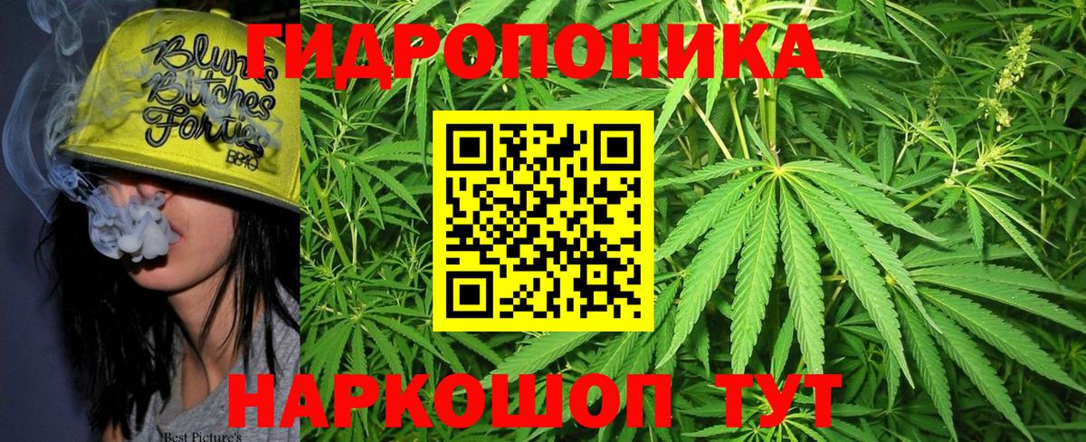 Бошки марихуана тримм  Бошки Шишки сатива  Ипатово  Каннабис индика  Вход с VPN  Шишки марихуана AK-47 